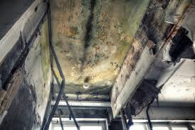 Best Comprehensive Air Testing for Mold Contaminants  in Wd, AR